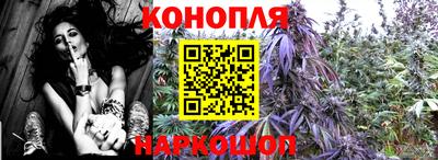 скорость Кудрово