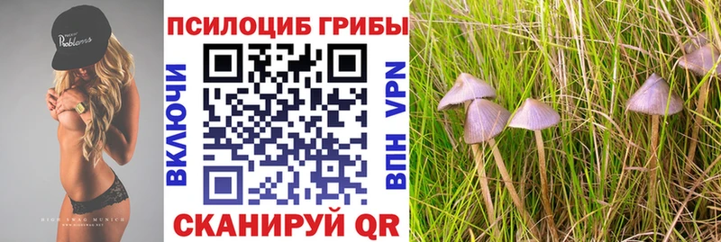 Псилоцибиновые грибы Cubensis  продажа наркотиков  Соль-Илецк 
