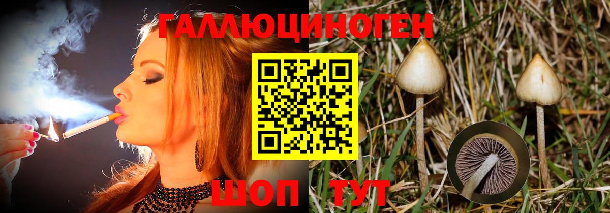 Соль-Илецк  как найти   Вход с VPN  Псилоцибиновые грибы MAGIC MUSHROOMS 