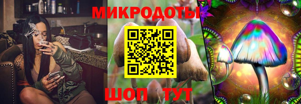 Псилоцибиновые грибы Magic Shrooms Соль-Илецк
